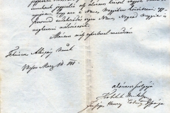 Pest vármegye árirata: megszökött kocsis keresése, részletes leírás a lovakról, kocsiről. 1848.05.27.