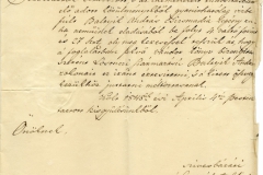 Pest megye értesítése, hogy losonci származású csizmadia legény vízbe fúlt, a rokonokat értesítsék. 1848.04.04.