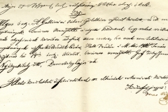 Diósjenői születésű elhalt katona halotti bizonyítványát megküldték a rokonoknak kiadás végett. 1848.05.27.
