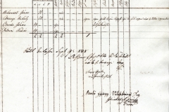Honvéd összeírás – Losonci járás. 1848.09.5-6.