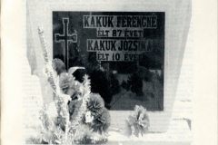 kakuk_naplo_1956_023