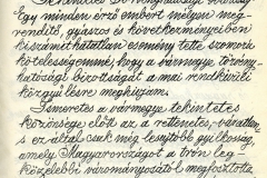 HU-MNL-NML-IV.402.a. Nógrád Vármegye Törvényhatósági Bizottságának iratai, 895/1914